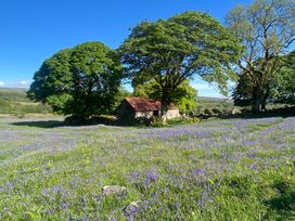 A building beside trees and flowers in a field at Halshanger Barn near Ashburton