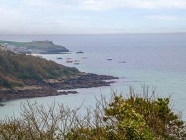 Godrevy View - Cornwall - 1162700 - thumbnail photo 25