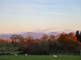 Ty'n Ffridd Bach - North Wales - 1163354 - thumbnail photo 26