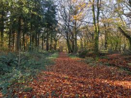 Sherway Coach House - Devon - 1163414 - thumbnail photo 46