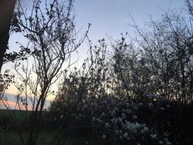 Trees and blooming flowers outside at dusk near a field at Middle Lodge near Taunton