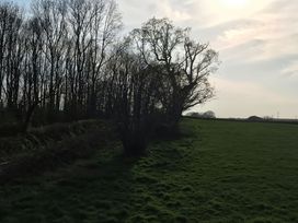 A field with grass and a row of leafless trees under a cloudy sky at Middle Lodge near Taunton