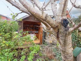 A garden with a shed and bookshelves at Garden Retreat in Swanage