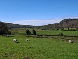 A landscape with sheep grazing in a field at 28 Rock Villas Silverdale