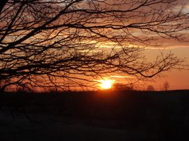 Sunset view with tree branches in silhouette at Bryn Y Garreg - The Wireless Free Farm (No Tech!) Llangadfan near Llanwddyn