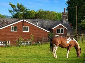 A horse grazing in a field near a wooden house at Bryn Y Garreg Cottage - The Wireless Free Farm, Llangadfan near Llanwddyn