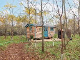 A small wooden cabin with blue doors and windows in a wooded area with trees and a path covered with leaves at Catchwater in Keal Cotes near East Kirkby