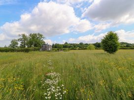 A field with wildflowers and a shed at Goose Whistle Hut in Foxham
