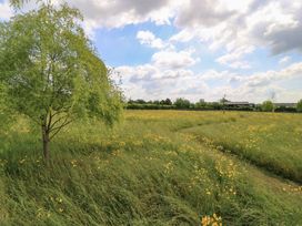 A field with yellow wildflowers and a tree at Goose Whistle Hut in Foxham