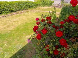 Karenza - Cornwall - 1164447 - thumbnail photo 46