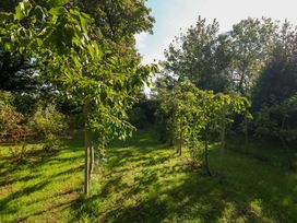 A garden with trees and grass at The Cabin at Little Timbers in Ringwood