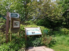 Puffins - Devon - 1164511 - thumbnail photo 27