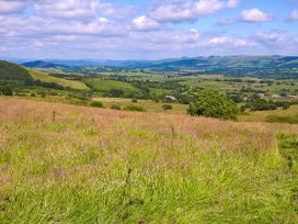 A landscape with a grassy field and hills in the background at Coach House in Llanwrtyd Wells