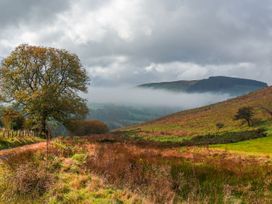 A rural landscape with a large tree by a dirt path and hills in the background at Coach House in Llanwrtyd Wells