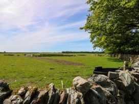 A grassy field with sheep a stone wall and trees at Bodior Garden Cottage in Rhoscolyn