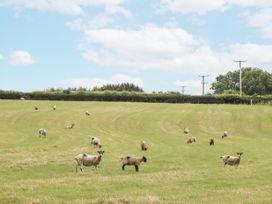 Aunty Junes Cottage - Devon - 1165070 - thumbnail photo 42