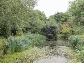 A pond surrounded by plants and trees at Aunty Junes Cottage, Okehampton