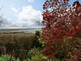 Heanton Lodge - Devon - 1165231 - thumbnail photo 42