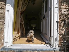 Cefn Campstone - South Wales - 1165347 - thumbnail photo 4