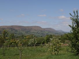 Cefn Campstone - South Wales - 1165347 - thumbnail photo 65