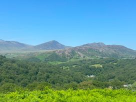 A view of mountains and trees in Capel Curig near Betws-Y-Coed
