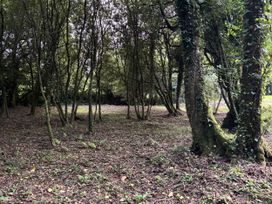 Delfryn Llandeilo - Mid Wales - 1165425 - thumbnail photo 20