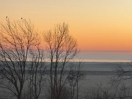 A view of trees and birds at sunset at St Edmunds Church in Fraisthorpe