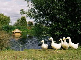 Ducks by a pond with a wooden structure at Lillie's Shepherds Hut at Shepherds Lodge Retreat and Wellness Bottesford near Redmile and Vale of Belvoir