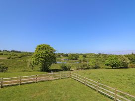 A fenced grassy field with trees and a pond under a clear blue sky at Yr Adfa in Llangeitho near Tregaron