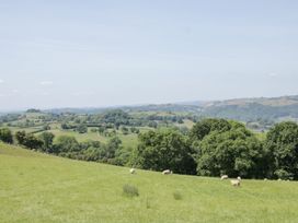 A grassy field with sheep and trees with rolling hills in the background at White House in Montgomery