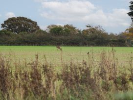 Seasalt Haven - Kent & Sussex - 1165733 - thumbnail photo 21