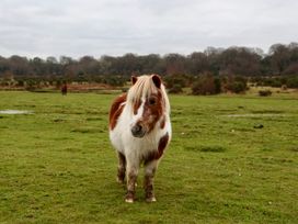 Stable Cottage - Hampshire - 1166063 - thumbnail photo 25