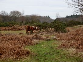 Stable Cottage - Hampshire - 1166063 - thumbnail photo 26