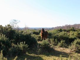 Stable Cottage - Hampshire - 1166063 - thumbnail photo 24