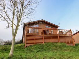 A wooden lodge with a deck and outdoor furniture on a grassy slope with a leafless tree in front at Finnbars Lodge in Richmond