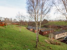 A grassy hillside with birch trees and several wooden cabins at Finnbars Lodge in Richmond