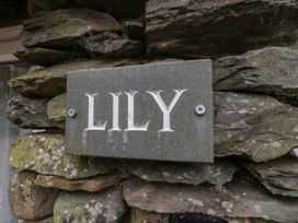 Lily - Lake District - 1166178 - thumbnail photo 2