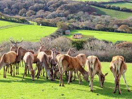 Karow Rudh - Cornwall - 1166261 - thumbnail photo 2