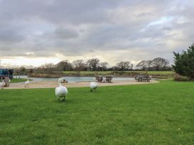 A grassy area with swans near a small body of water and wooden benches at Dunlin Walk 13 in Hayling Island