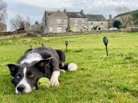 A dog resting on grass with a tennis ball in a garden at The Little Farmhouse in Carnforth