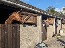 Two horses in stables at The Little Farmhouse in Carnforth