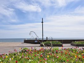 A flower garden with colorful tulips by the seaside promenade with a metal wave sculpture and ocean in the background at Carnaby in South Chard
