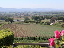 A field with rows of crops and trees in the background with pink flowers in the foreground at Buzzards View in Dyserth