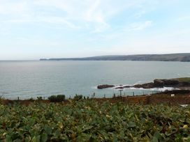 Blue Horizon - Cornwall - 1167023 - thumbnail photo 46