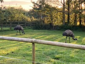 War Horse Valley Orchard View - Devon - 1167164 - thumbnail photo 39