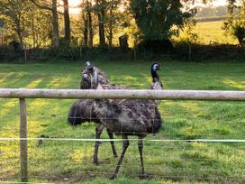 War Horse Valley Orchard View - Devon - 1167164 - thumbnail photo 40