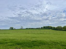 A green pasture with cows lying down and trees in the background at War Horse Valley Orchard View in Hatherleigh