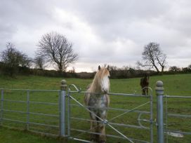 Ynys Uchaf - Anglesey - 1167335 - thumbnail photo 22