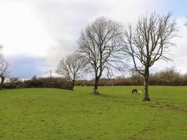 Ynys Uchaf - Anglesey - 1167335 - thumbnail photo 23