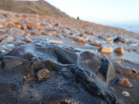 Brambles - Dorset - 1167423 - thumbnail photo 30